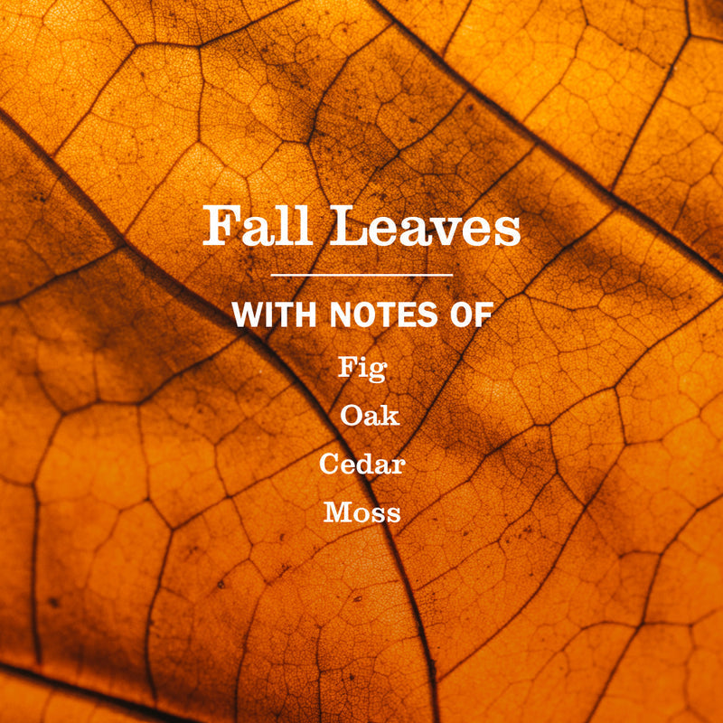 Mrs. Meyer's Fall Leaves Multi-Surface Everyday Cleaner 3-count Bundle