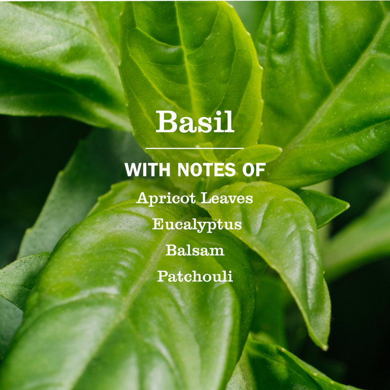 Mrs. Meyer's Basil Dryer Sheets